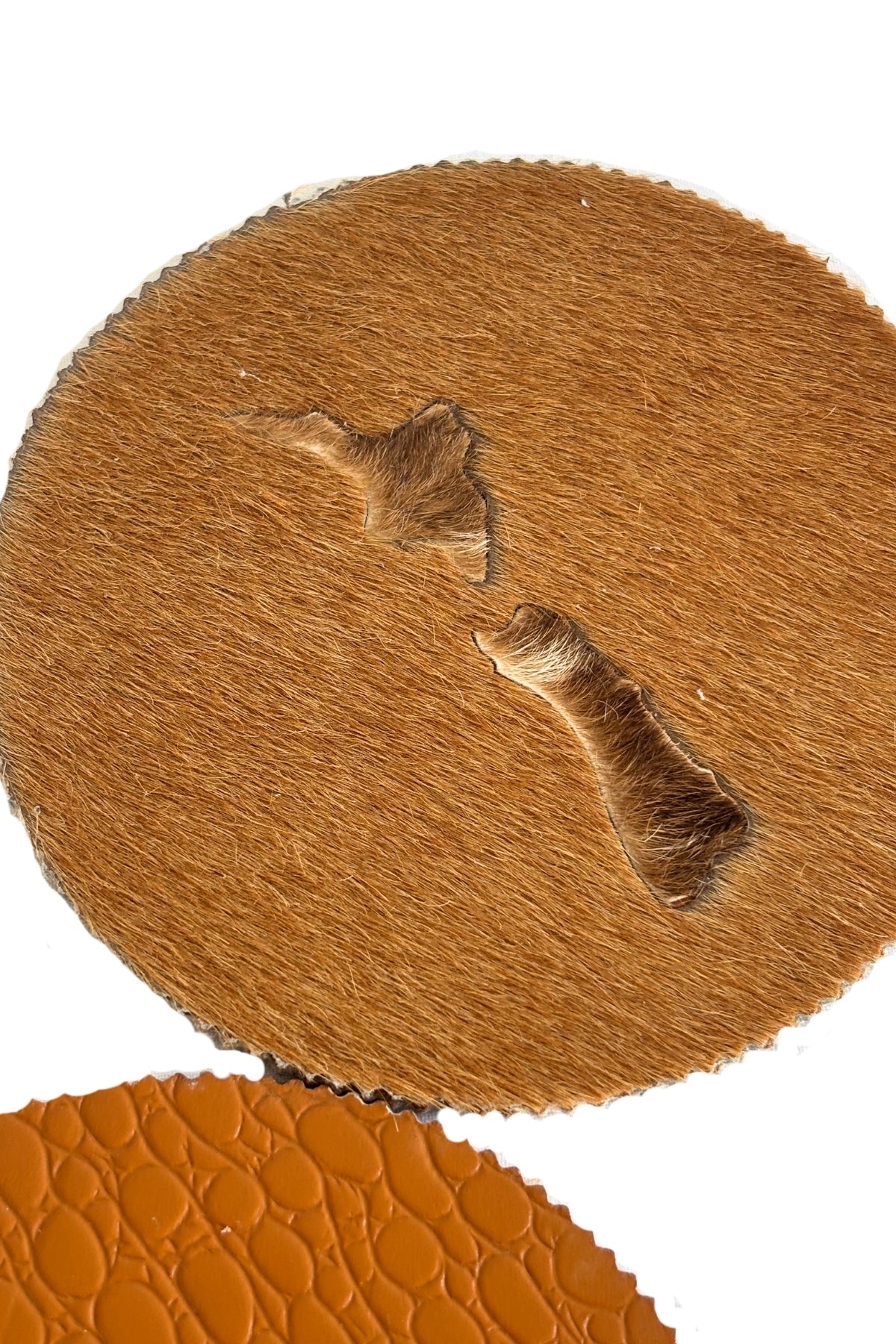 Genuine slinky deer NZ made coasters